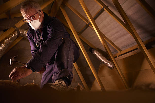Best Commercial Insulation in Quitman, GA